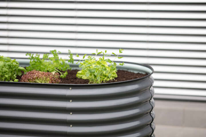 WESTMANN Hochbeet Grow Faster